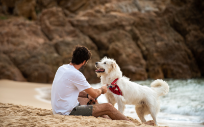 Barking Trails and Wagging Tails: Unforgettable Outdoor Activities for You and Your Beloved Pet
