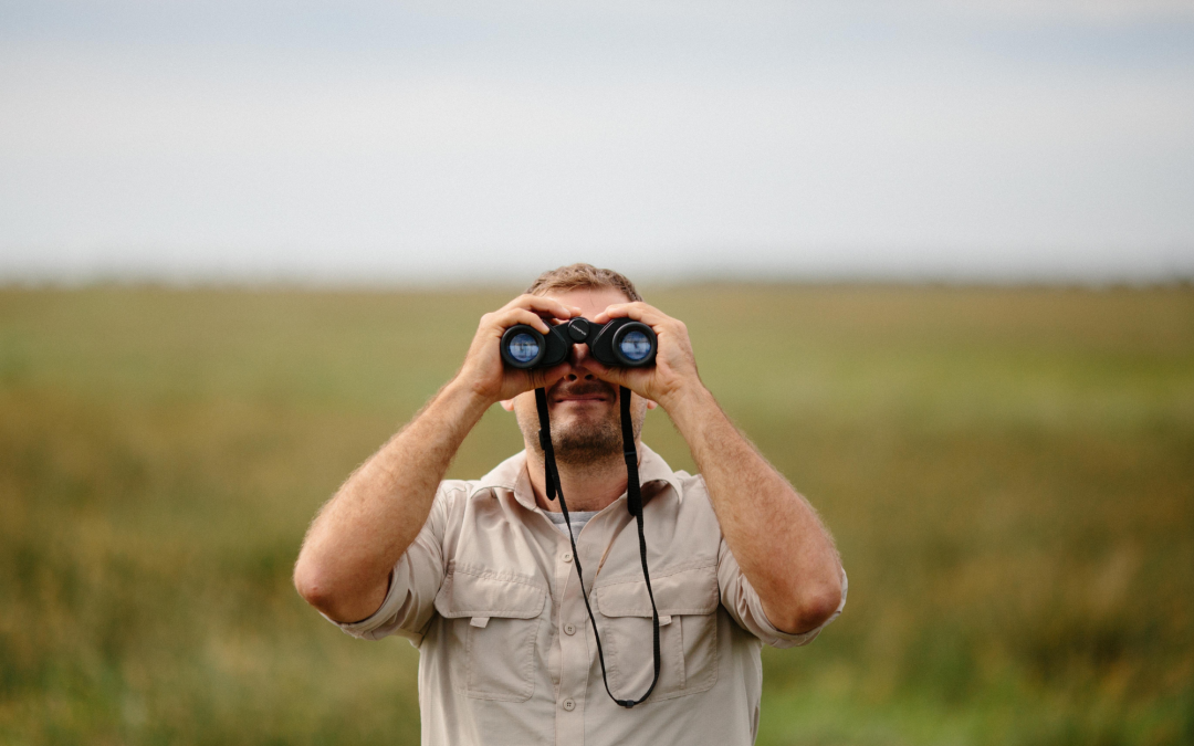 In the Realm of Feathers and Fur: Birdwatching and Wildlife Observation