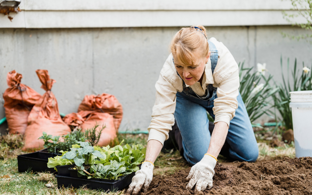 Shady Characters: Plants That Thrive in Low Light Conditions