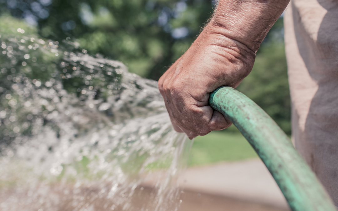 Mastering Garden Watering: Exploring Different Approaches to Watering Your Garden