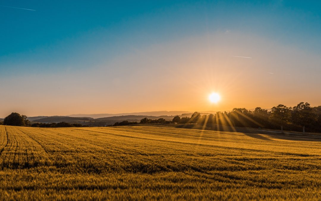 Living in the Country